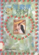 一夜欢情（1995 PDF版）