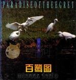 百鹭图（1999 PDF版）