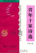 青年十家诗选（1998 PDF版）