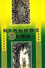 被子植物胚胎学实验图谱（1992 PDF版）