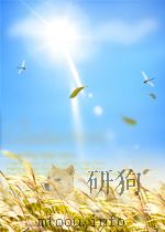 礼记要义 33卷 1886 PDF电子版封面 (宋)魏了翁撰