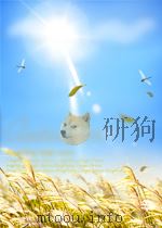 资治通鉴外纪详节10卷 PDF电子版封面