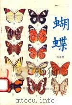 蝴蝶（1985 PDF版）
