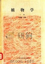高等师范专科通用教材 植物学 下 1989 PDF电子版封面 7536102992 翁建豪主编