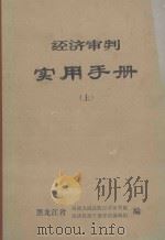 经济审判实用手册  上（ PDF版）
