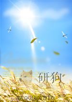 中国第一冤案  刘少奇、邓小平、陶铸被打倒之谜（1993 PDF版）