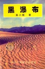 天地人文丛 黑瀑布 1997 PDF电子版封面 780100339X 吴小妮著