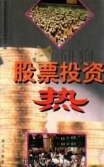 股票投资热（ PDF版）