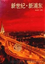新世纪·新浦东（1994 PDF版）
