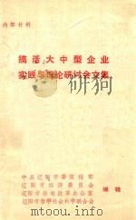 搞活大中型企业实践与理论研讨会文集（ PDF版）