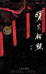 文景报告文学集  曙光初照（1995 PDF版）