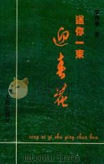 送你一束迎春花（1995 PDF版）