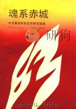 魂系赤城（ PDF版）