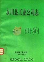 永川县工业公司志（ PDF版）