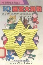 IQ迷宫大挑战（1993 PDF版）
