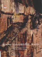 白头叶猴自然史=The natural history of white-headed langur PDF电子版封面 潘文石等著