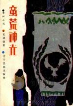 章回小说  蛮荒神光（1995 PDF版）