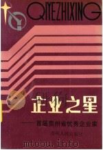企业之星  首届贵州省优秀企业家（1990 PDF版）