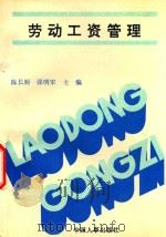 劳动工资管理   1992  PDF电子版封面  7800761851  陈长顺，张明军主编 