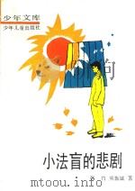小法盲的悲剧（1989 PDF版）