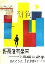 哥哥没有坐牢  少年学法故事（1989 PDF版）