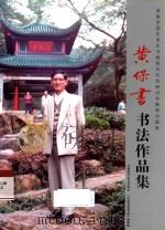 黄保书书法作品展作品集（ PDF版）