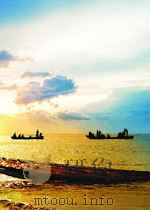 爆炸冲击波测量技术  电测法（ PDF版）