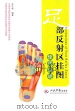 足部反射区挂图使用说明（ PDF版）