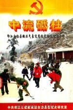 中流砥柱  印江自治县凝冻气象灾害抗灾救灾纪实资料汇编（ PDF版）