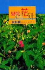 客家台湾文库  见笑花（1998 PDF版）