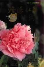 洛阳牡丹（1988 PDF版）