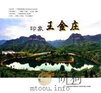 印象王金庄（ PDF版）