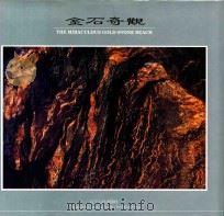 金石奇观（1994 PDF版）