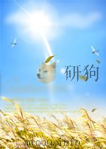 南京工程学院赵盛林教案 PDF电子版封面 赵盛林
