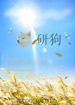 南京工程学院孙孟辉教案 PDF电子版封面 孙孟辉