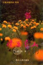 情系彝山 1995 PDF电子版封面 7220028385 杨浩著