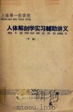 人体解剖学实习辅助讲义 下 1961 PDF电子版封面 周敬修,陈丽琏编著