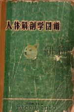 人体解剖图谱（1975 PDF版）