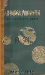 人体肺部病灶内的结核杆菌  组织细菌学及其与肺结核治疗的关系（1963 PDF版）