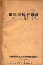 组织胚胎学图谱  上（1956 PDF版）