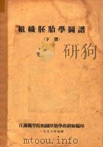 组织胚胎学图谱  下（1956 PDF版）