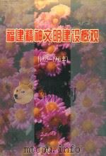 福建精神文明建设概观 1995-1996 1998 PDF电子版封面 753930720X 《福建精神文明建设概观》编辑部编