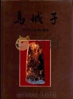马城子 1994 PDF电子版封面 7501007764 辽宁省文物考古研究所,本溪市博物馆编