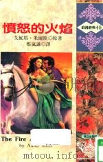 愤怒的火焰（1992 PDF版）