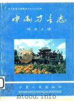 中卫方言志 1995 PDF电子版封面 7227015246 林涛主编;中卫县县志编纂委员会办公室编