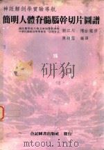 简明人体脊髓脑干切片图谱 1991 PDF电子版封面 刘江川博士监修;陈颖信编译