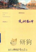 文化翻译（ PDF版）