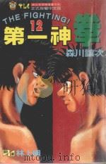 第一神拳 12 1993 PDF电子版封面 9573401312 森川让次著;林上园译