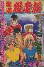湘南爆走族 3 1994 PDF电子版封面 9573416980 吉田聡著;吴功浩译