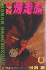 湘南爆走族  12（1995 PDF版）